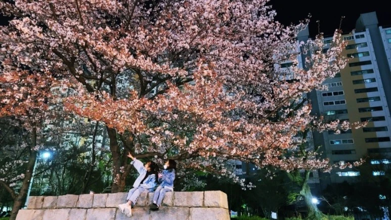 1616764533969.jpg?type=w773