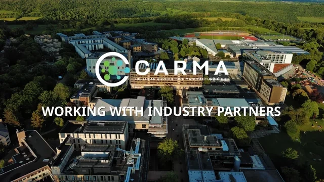 1879310027-d94dde838e468467be0530cd9544d6dbc64b110bbb1e09653a51a9002da6a8d4-d_640?f=webp