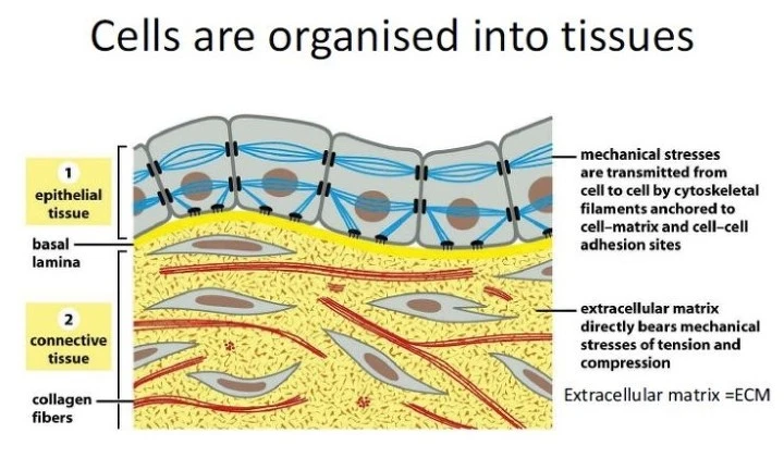 QBx-8AGWONF057FnWv-EqeHi6E6VKcTz2JNnZgWmkOPJMCGbCUE4_pqFrwMVjtdOfQi7OXvWJyAc381JmOi38zQFtuCg-6iT71TKxhEeXMrl4lejJ0pd62xo9toR2UR6WLPO6vvivaPMPIckJg