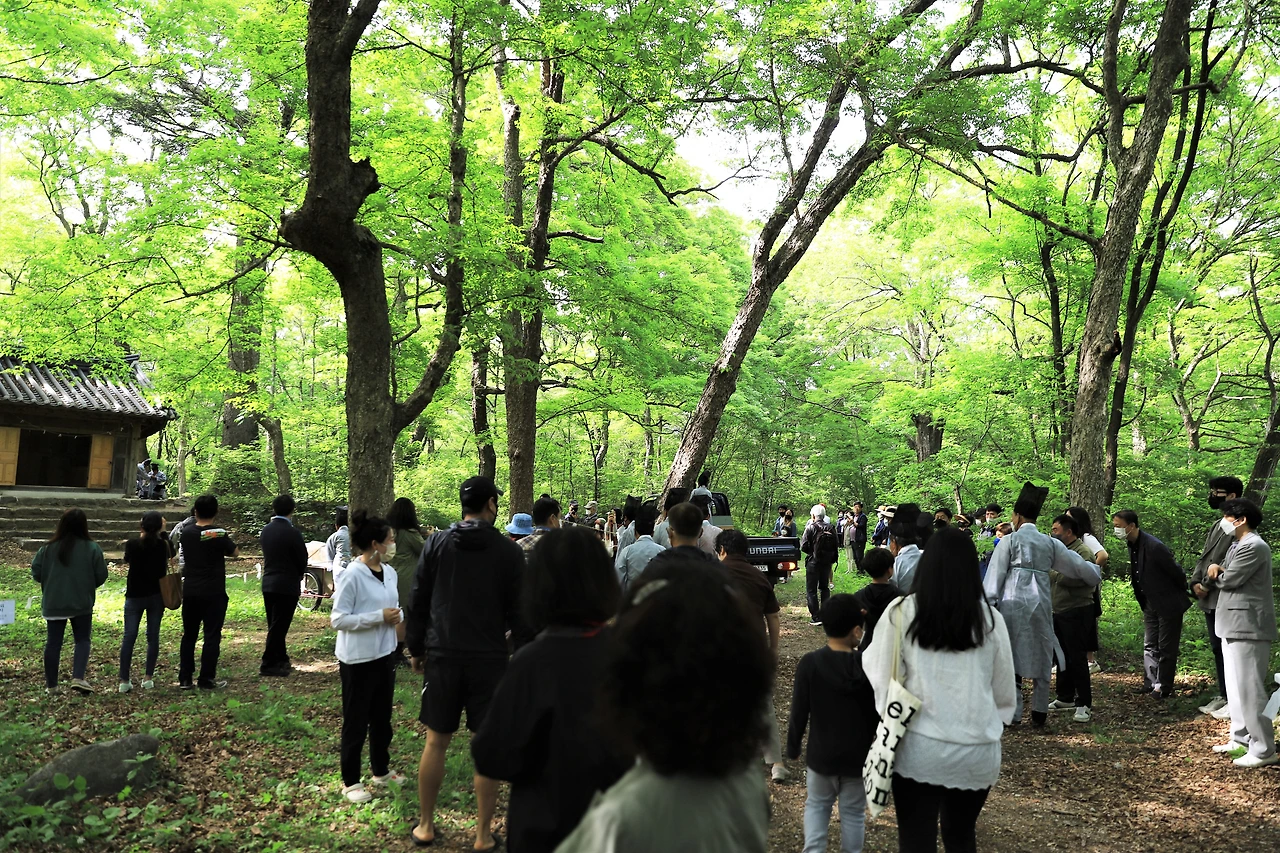 IMG_7520복자기 나무 배경.JPG