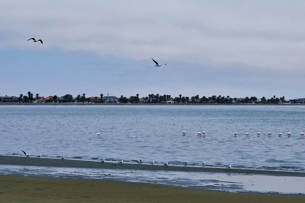 IMG_4110 Walbis Bay.JPG