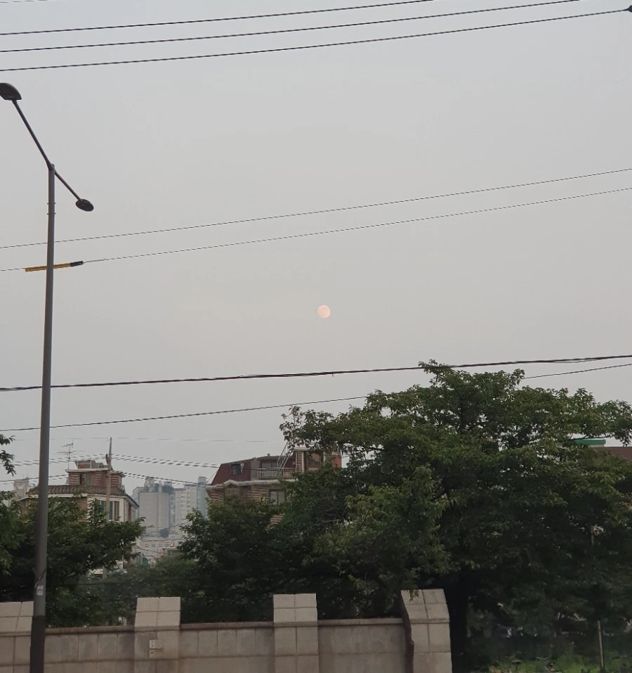 20210623%EF%BC%BF195347.jpg?type=w1