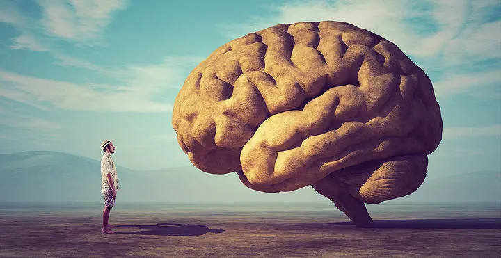 425ad335c5894bcab1a11c4a96577782.jfif