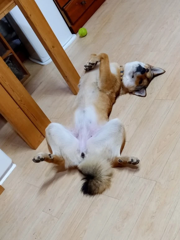 KakaoTalk_20230610_114644993.jpg?type=w580