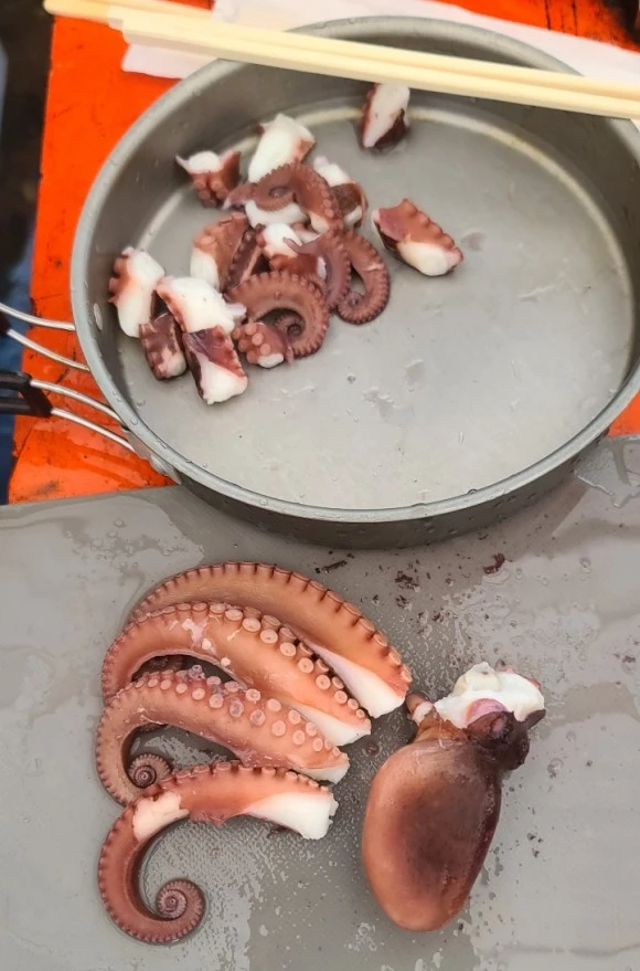 SE-dbc40d8e-d4d8-4949-9f2e-4e0ec1d31162.jpg?type=w580