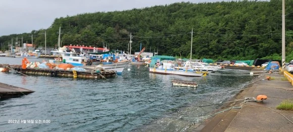 KakaoTalk_20230916_110733198_02.jpg?type=w580