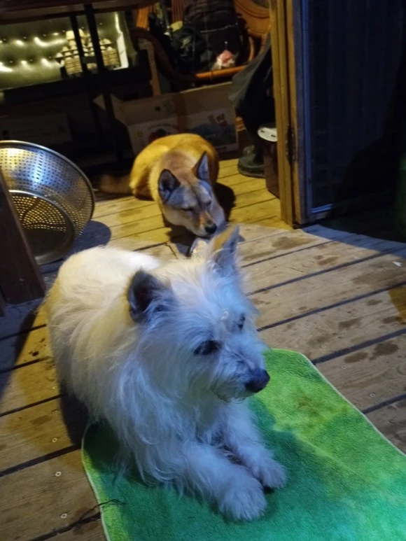 KakaoTalk_20230704_222126301.jpg?type=w580