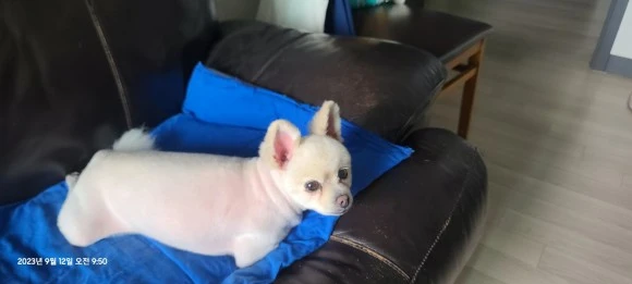 KakaoTalk_20230912_100410173.jpg?type=w580