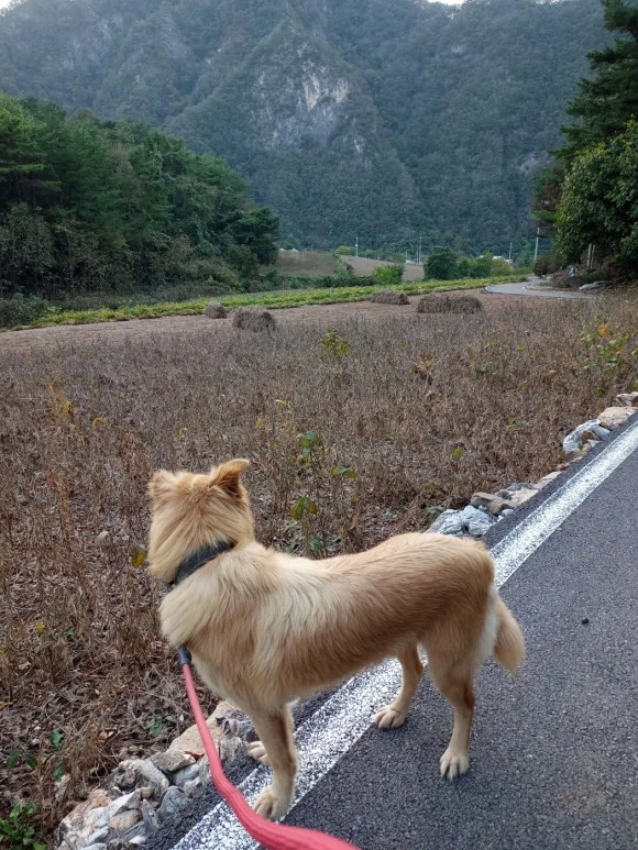 KakaoTalk_20231010_174635672.jpg?type=w580