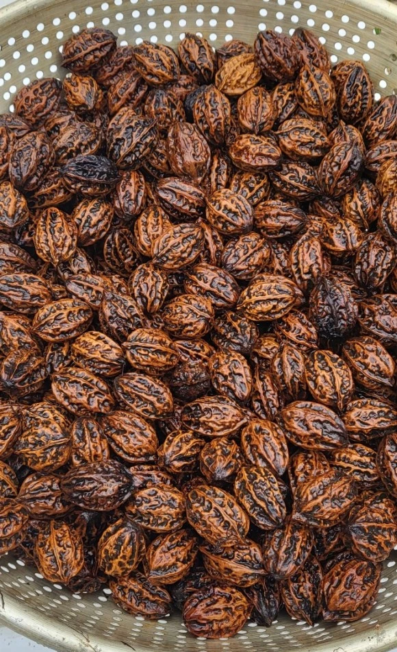 SE-0a5b5310-50ef-4af0-8b1a-498d96b83b97.jpg?type=w580