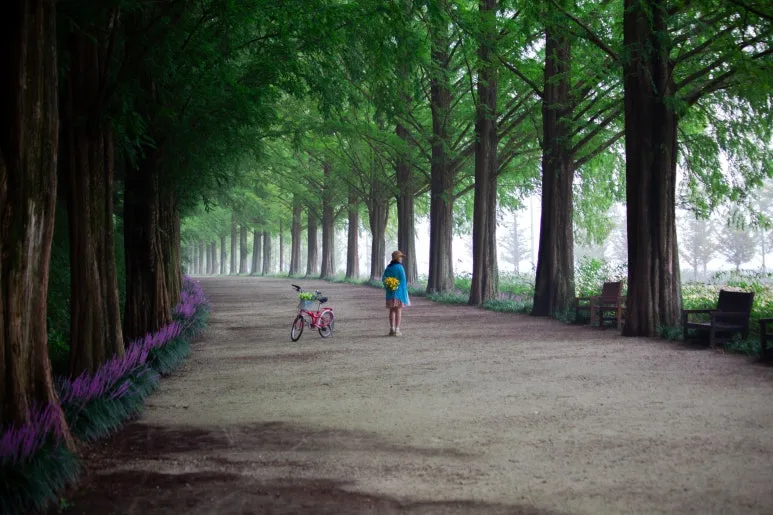 road-5885933.jpg?type=w773