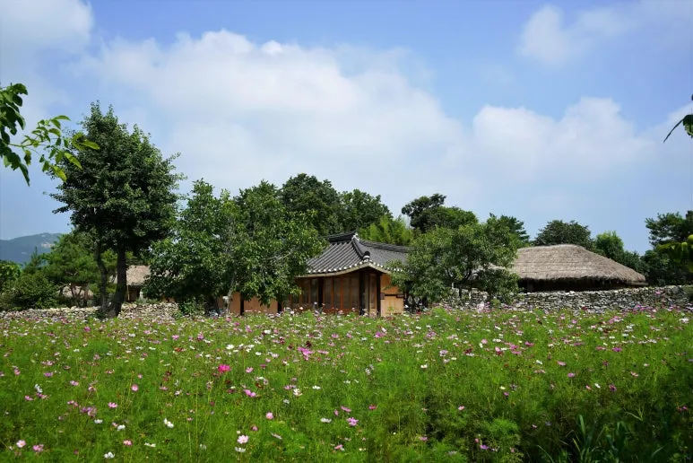 cosmos-5383194.jpg?type=w773