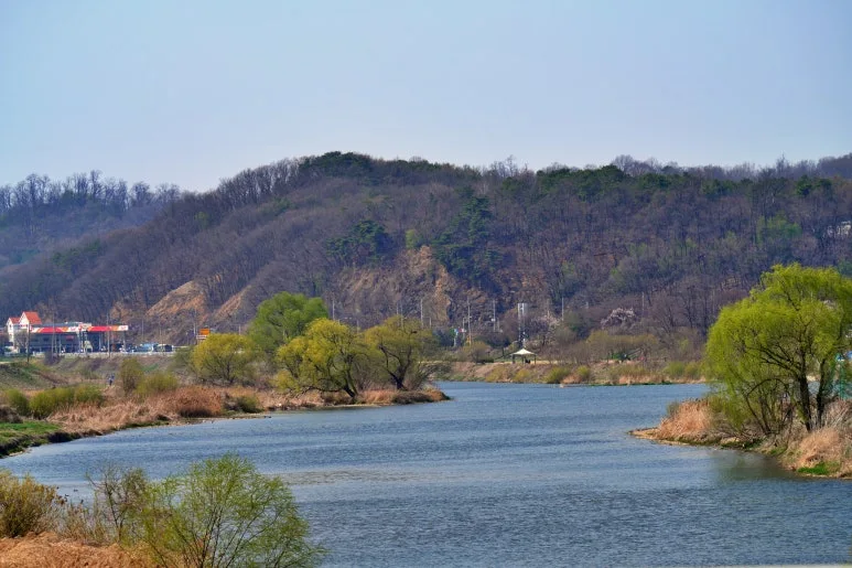 riverside-7122187.jpg?type=w773