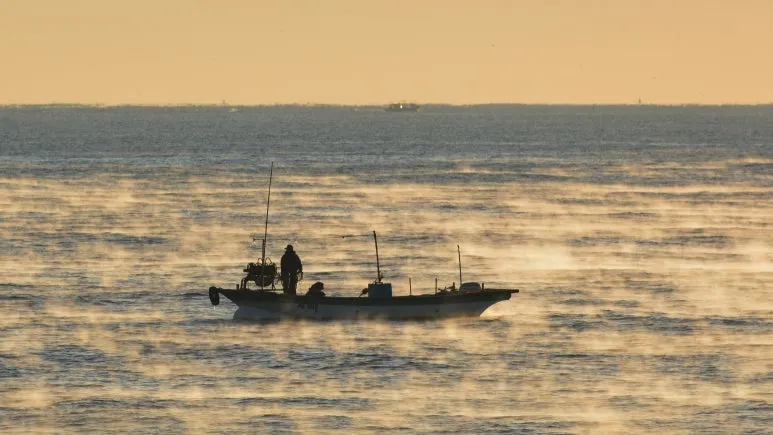 fisherman-7134481.jpg?type=w773