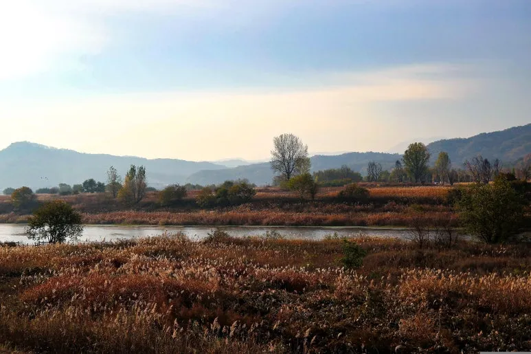 gangcheon-island-5906512.jpg?type=w773