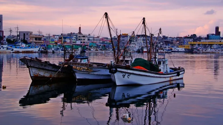 gangneung-7161884.jpg?type=w773