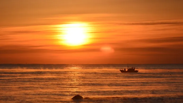 beach-7142706.jpg?type=w773