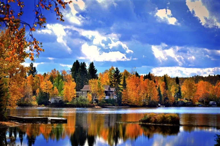 autumn-landscape-1138875.jpg?type=w773