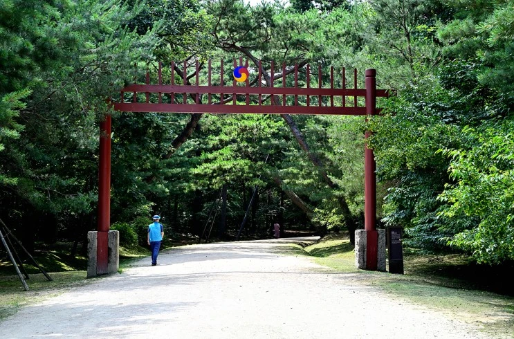 DSC_20210624_%EB%8F%99%EA%B5%AC%EB%A6%89_%283%29_00003.jpg?type=w2