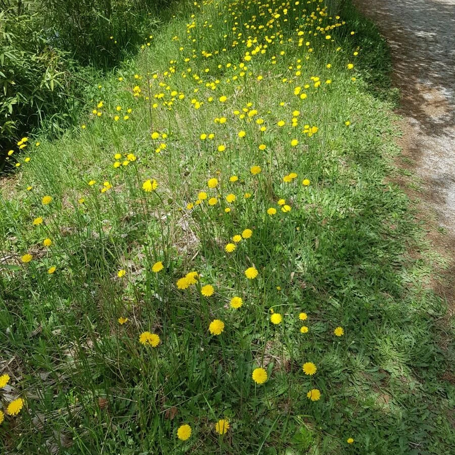 1590651515872.jpg?type=w966