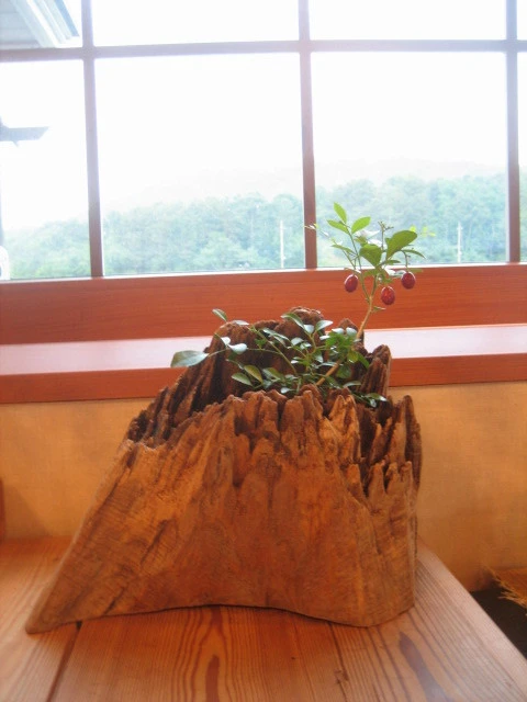 162D5A204C117D2133A607