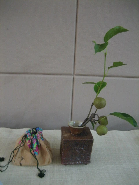 2047EC164C3AC4062C81CC