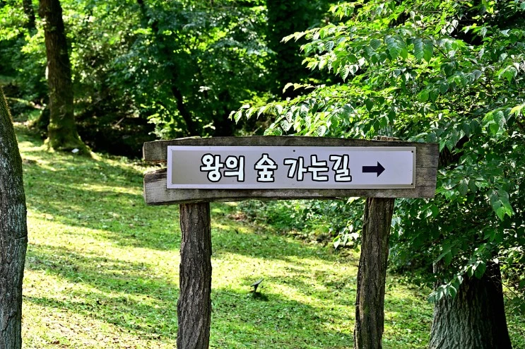 DSC_20210624_%EB%8F%99%EA%B5%AC%EB%A6%89_%2829%29_00025.jpg?type=w2