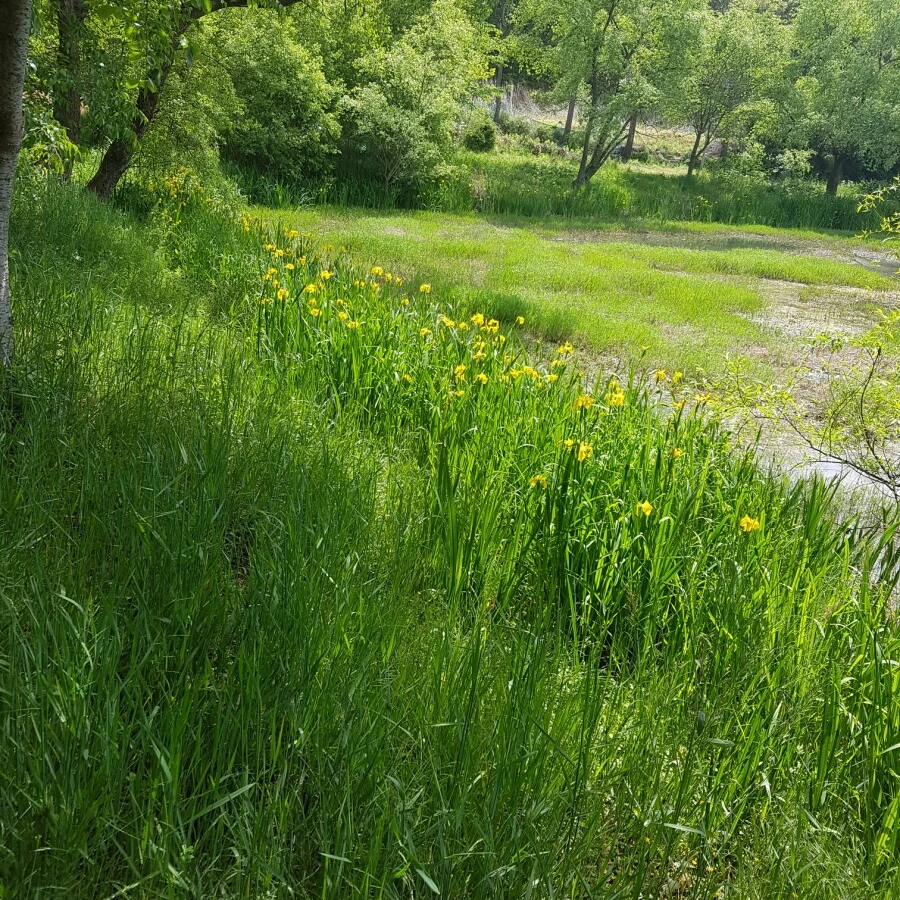 SE-7663256a-da19-4e55-a82a-94c6b34c4abe.jpg?type=w966