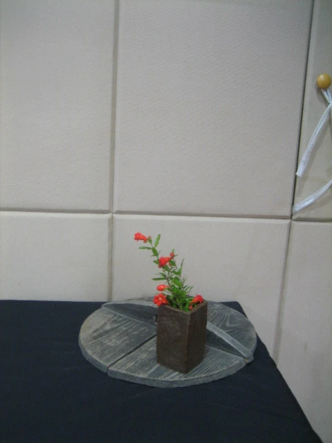 170405154C3AC4F67F5023