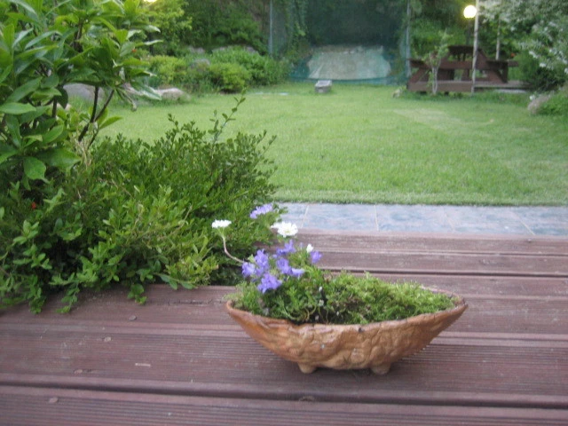 162D5A204C117D243DD536