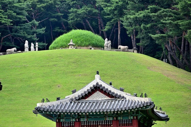 DSC_20210624_%EB%8F%99%EA%B5%AC%EB%A6%89_%28156%29_00133.jpg?type=w2