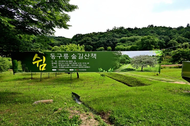 DSC_20210624_%EB%8F%99%EA%B5%AC%EB%A6%89_%2861%29_00054.jpg?type=w2