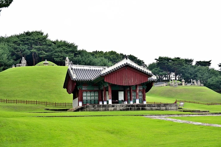 DSC_20210624_%EB%8F%99%EA%B5%AC%EB%A6%89_%28171%29_00146.jpg?type=w2