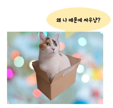 점수니.PNG
