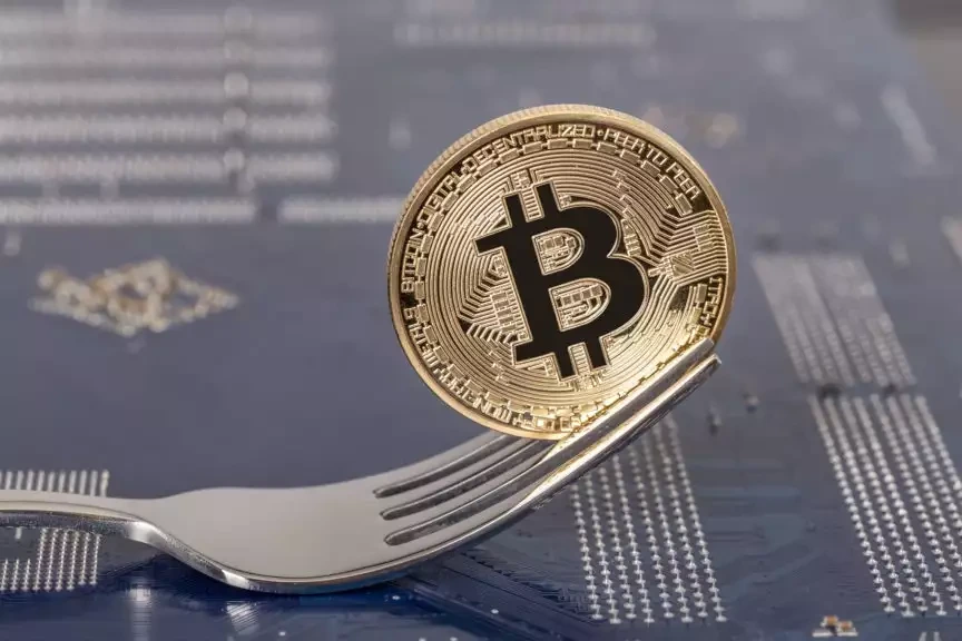 bitcoin fork.jpeg