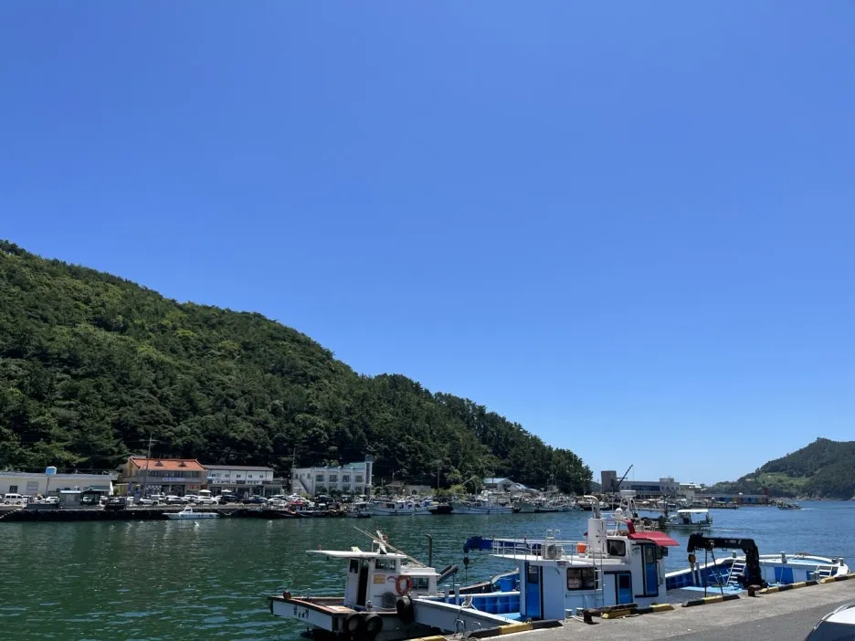 KakaoTalk_20240731_105620628.jpg?type=w1