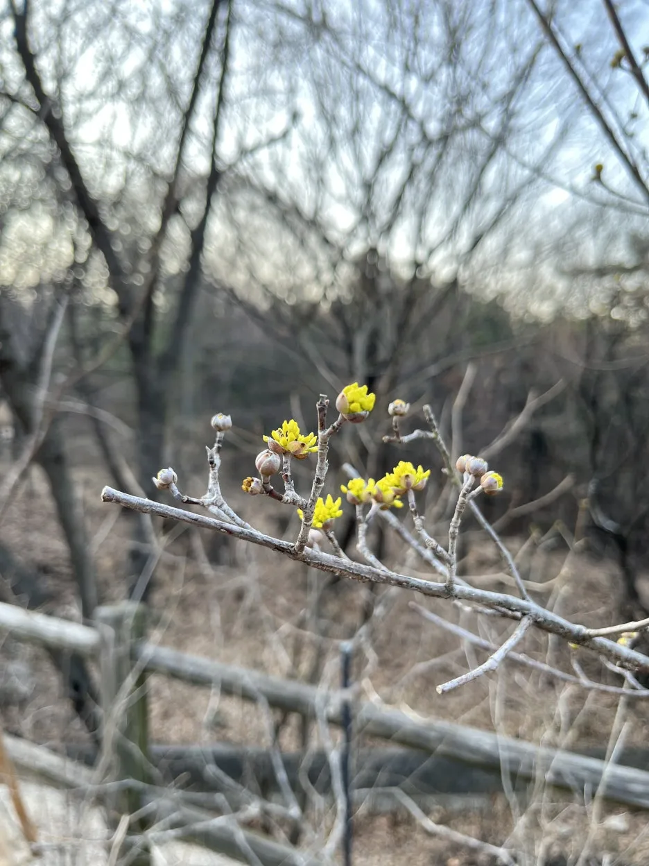 IMG_4420.jpg?type=w1