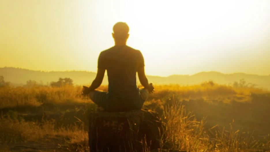 SE-c946a0e5-a7b3-4505-87d4-0b99aa23e67f.jpg?type=w1