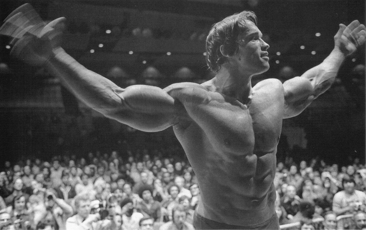 2394x1507_px_Arnold_Schwarzenegger_Barbell_Bodybuilder_bodybuilding_Dumbbells_Exercising_Gyms-525350.jpg!d