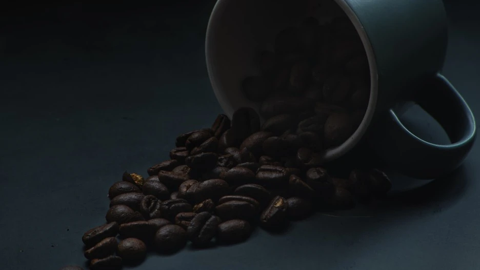 SE-c97a365a-cd29-42a0-bc52-4103b55fa1e8.jpg?type=w1