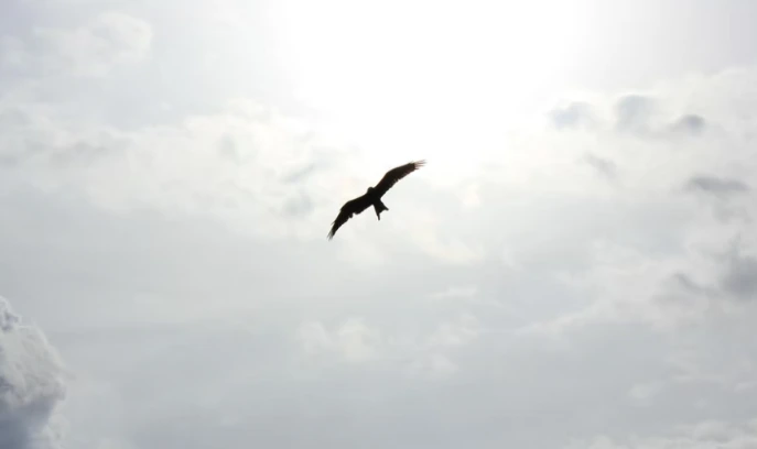 %EA%B0%93%EC%83%9D_%EC%82%AC%EB%8A%94%EB%B2%95.png?type=w1