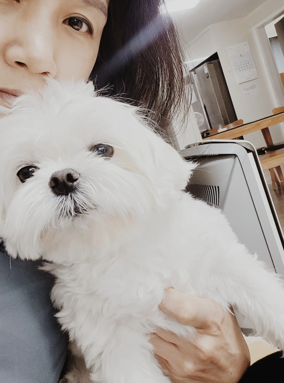 SE-2b45ee63-4389-423b-b720-1cbf7d47f1b8.png?type=w1