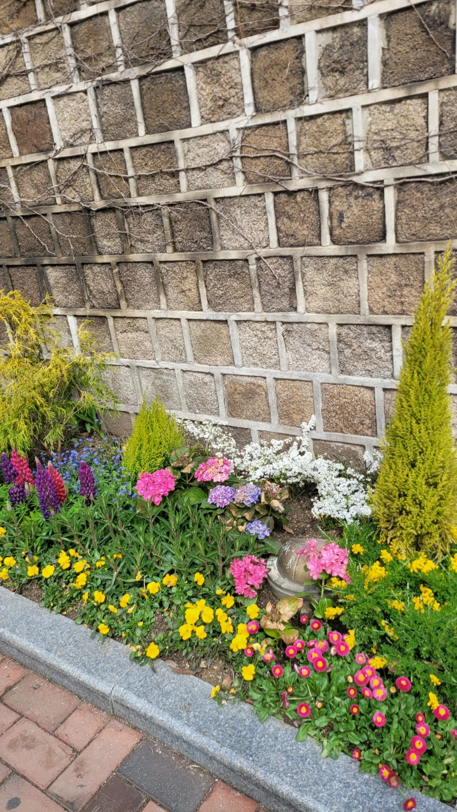 20240330%EF%BC%BF142920.jpg?type=w1