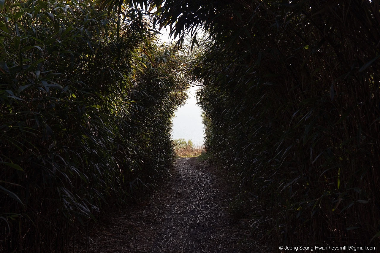 20220407-%EC%98%AC%EB%A0%8812-104.jpg?type=w1600