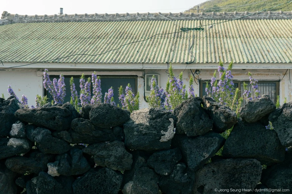 20220407-%EC%98%AC%EB%A0%8812-78.jpg?type=w1