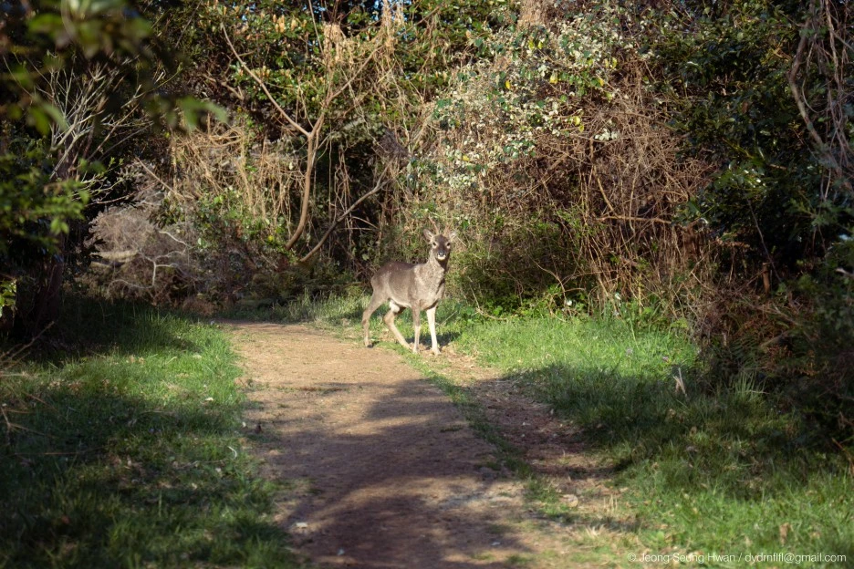 %EB%A7%88%EC%A7%80%EB%A7%89-84.jpg?type=w1