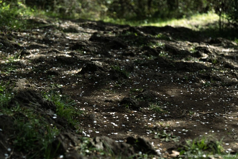 %EB%A7%88%EC%A7%80%EB%A7%89-27.jpg?type=w1