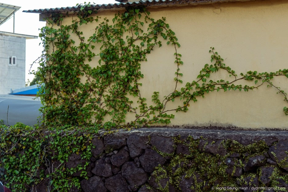 %EB%A7%88%EC%A7%80%EB%A7%89-76.jpg?type=w1