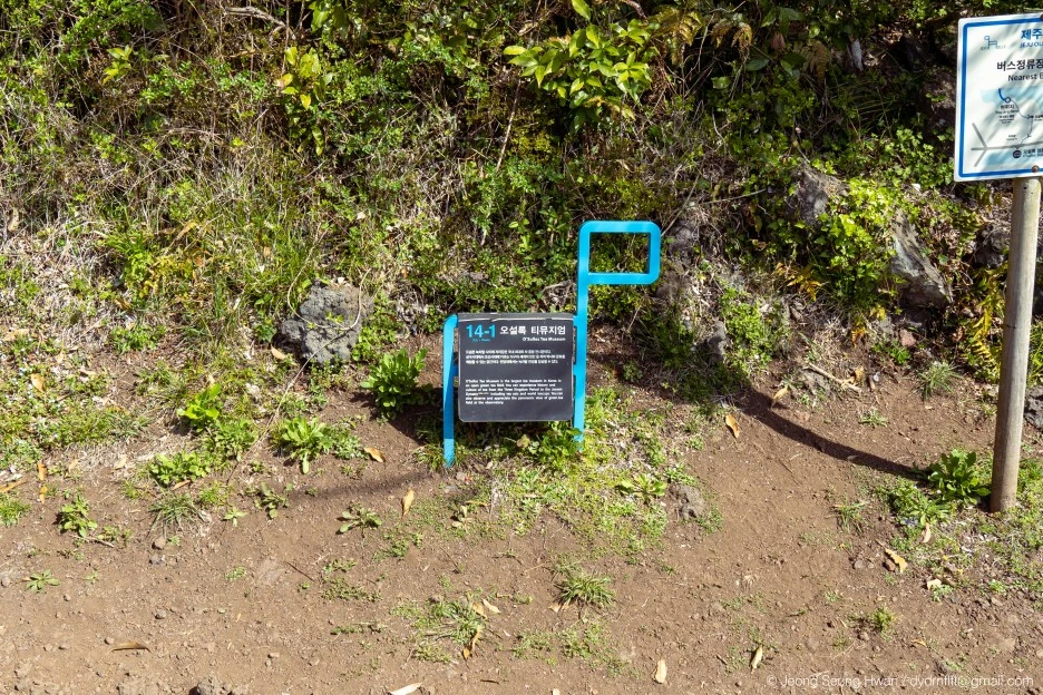 %EB%A7%88%EC%A7%80%EB%A7%89-30.jpg?type=w1