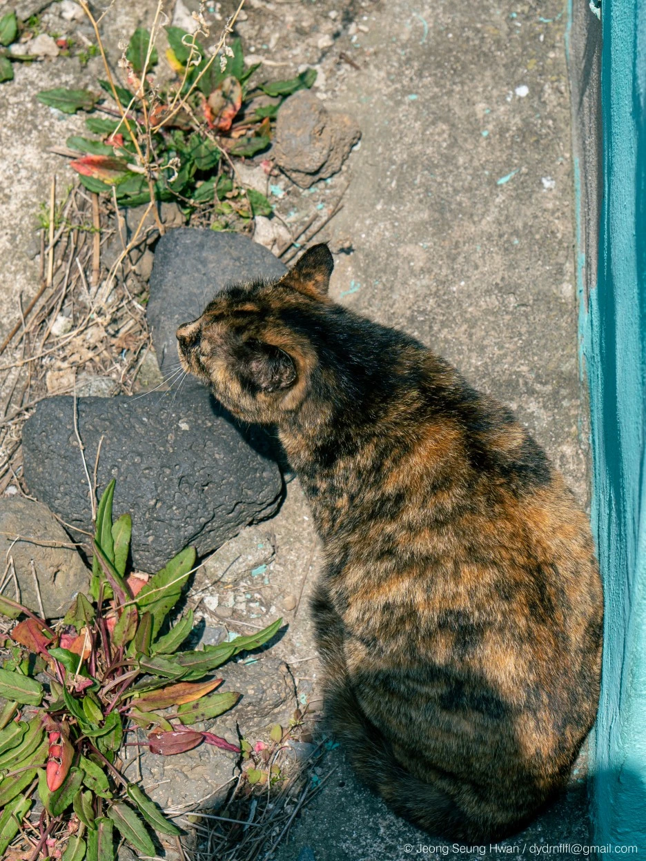 20220407-%EC%98%AC%EB%A0%8812-49.jpg?type=w1